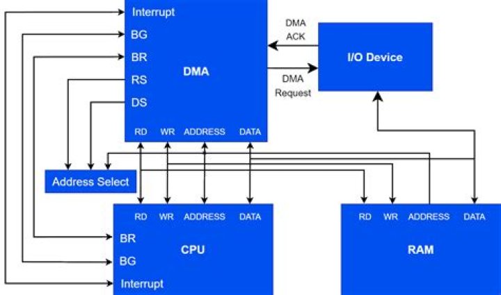 What is a DMA rank?
