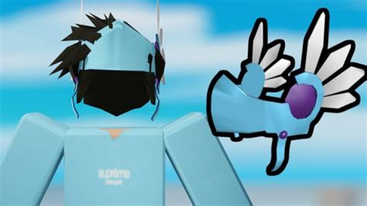 What is a ice Valk?