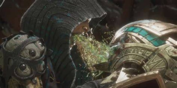 What is D Vorah second Fatality?