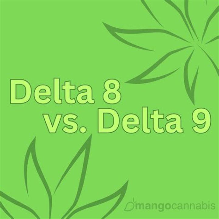 What Is Delta-8 THC, the Trend New 
