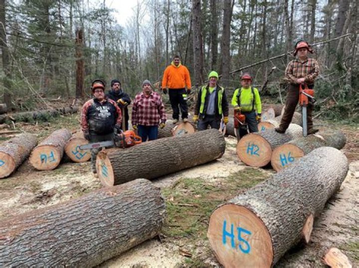 What is Lumberjack and Their Role in Construction Prices?