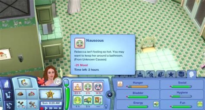 What is risky Woohoo sims3?