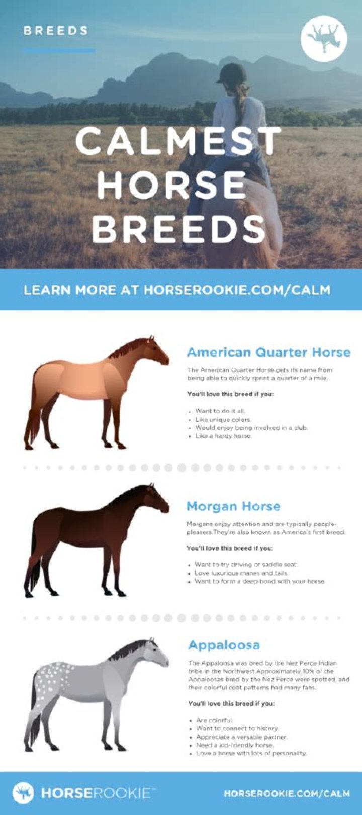 What is the calmest breed of horse?