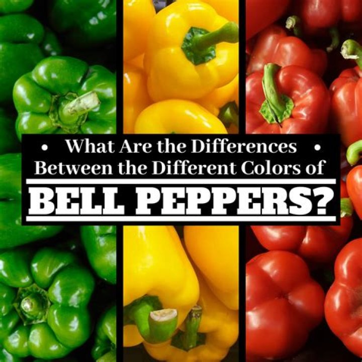What is the Difference Between Green, Red, and Yellow Bell Peppers?
