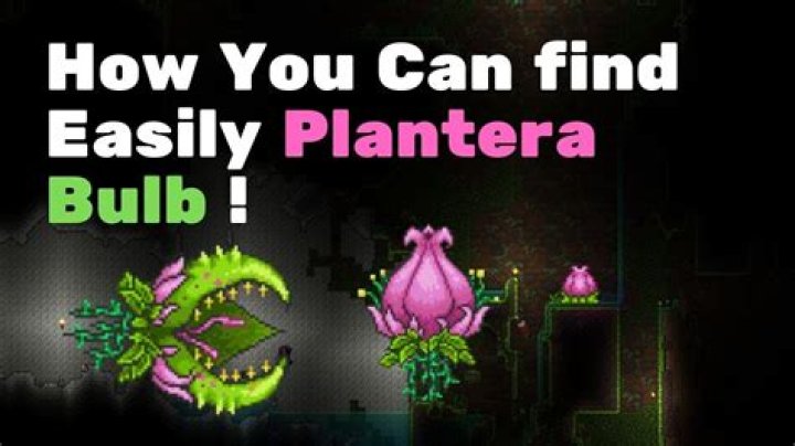 What is the easiest way to find a Plantera bulb?