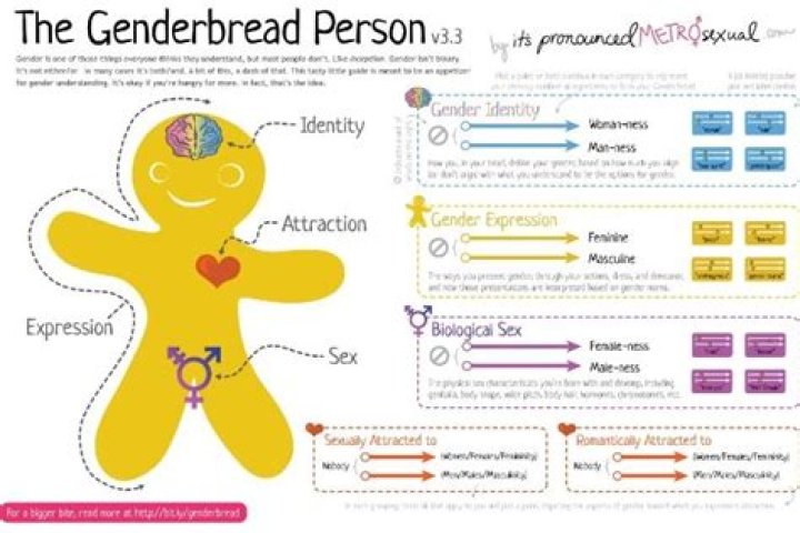 What Is The Genderbread Man? Ron DeSantis Attacks Gender Lessons In Schools