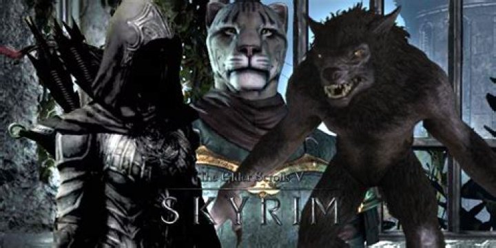 What is the most fun build in Skyrim?