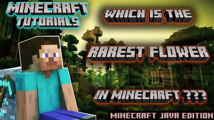 What is the rarest flower in Minecraft?