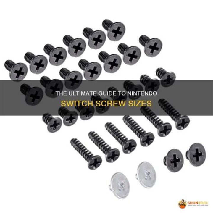 What kind of screws does Nintendo switch use?