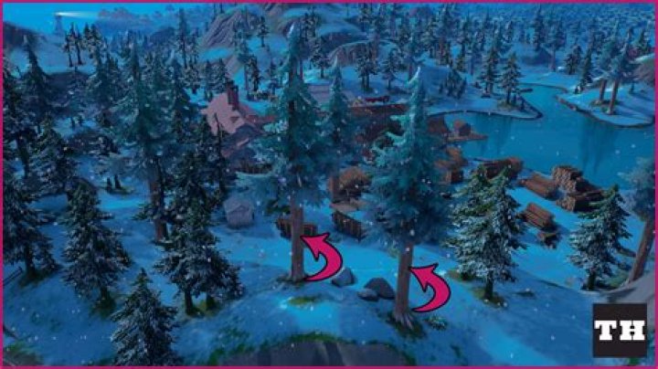 Where are Timber Pines in Fortnite