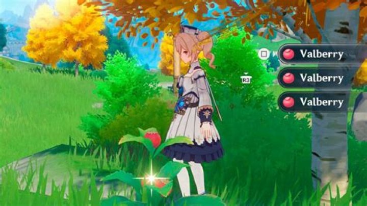 Where can I buy Valberry?