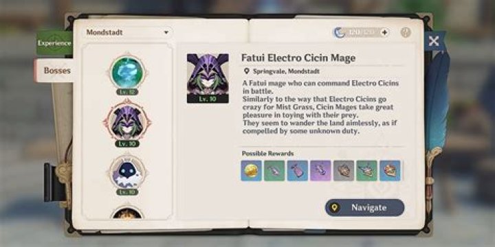 Where can I find Electro mage?