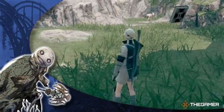 Where is Nier Replicant in goat hide?