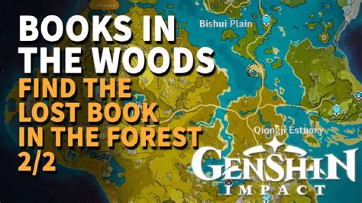 Where is the book in the woods Genshin?