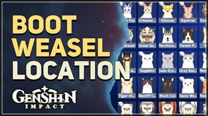 Where is the boot weasel Genshin impact?
