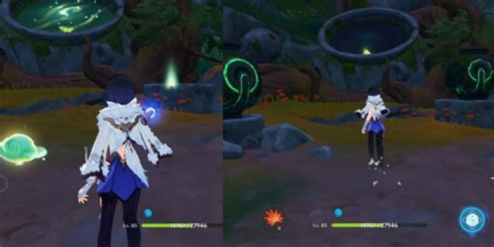 Where is the butterfly in Genshin impact?