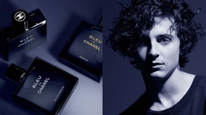 Whither Timothée Chalamet’s Bleu de Chanel Commercial?