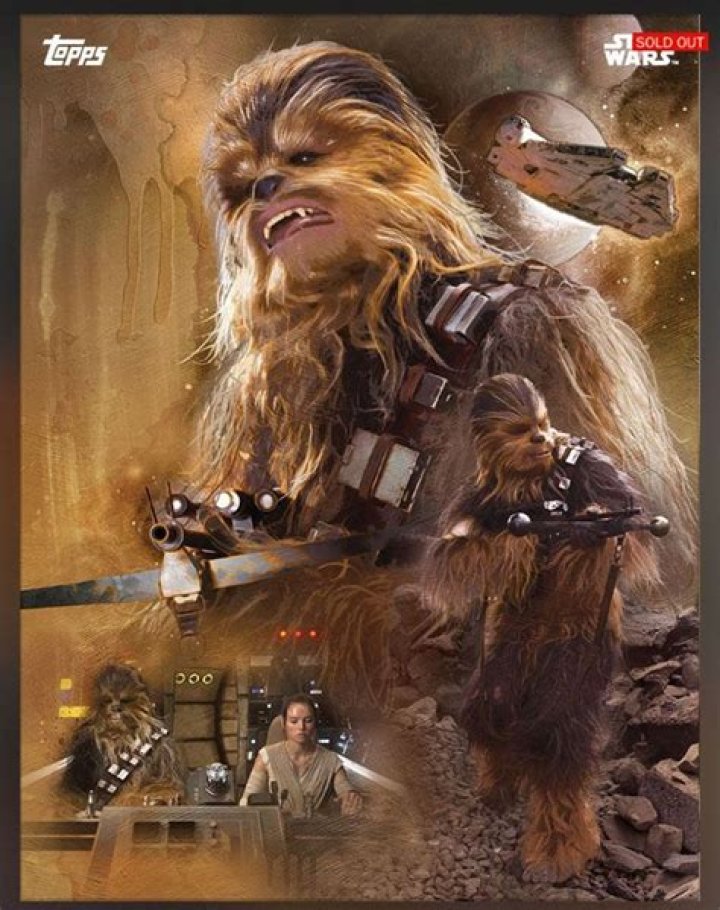 Who’s Flying the Millennium Falcon in Force Awakens?