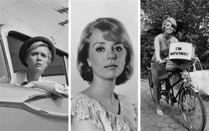 Why Did Inger Stevens Die? Unraveling The Mystery Behind Her Untimely Demise