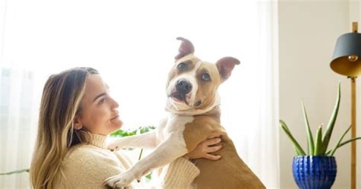 Why Do Dogs Wag Their Tails? A New Theory Speaks Volumes