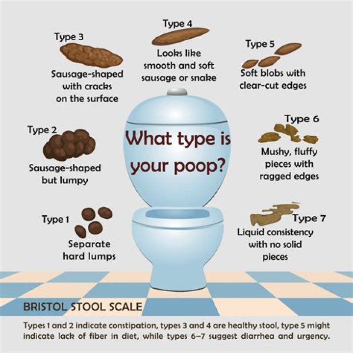 Why Do I Poop In The Morning — And Sometimes Twice?