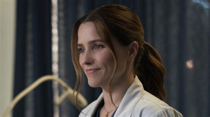 Why Does Good Sam Actress Sophia Bush Consider It As Her Dream Role