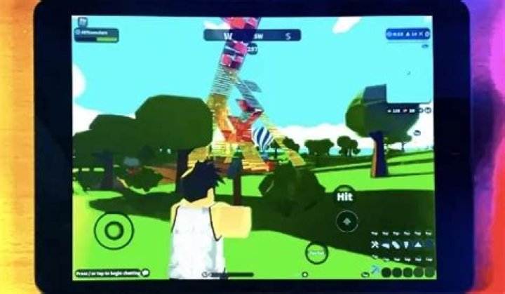 Why is Roblox not working on my iPad?