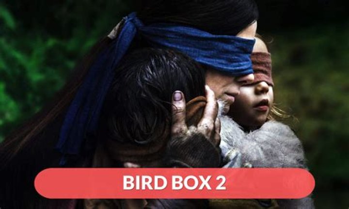  Will there be a Bird Box 2? When will it be released? Mon 31 December 2018 10:54 Updated Fri 4 January 2019 16:58 Liam Curtis 