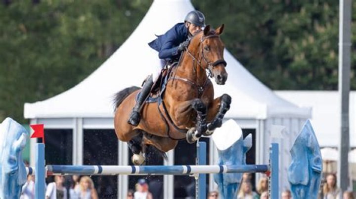 موقف طريف بـ الملكة اليزابيث خلال حضورها Windsor Horse Show