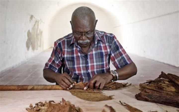 World’s longest cigar set to be rolled in Cuba – and it’s enormous 