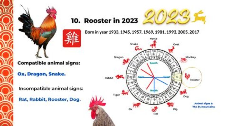 Year Of The Rooster Chinese Zodiac Personality Traits, Years And Compatibility