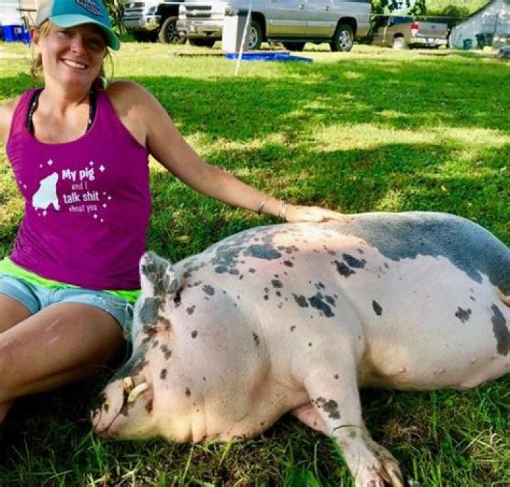 Ziggy’s Refuge Farm Sanctuary Owners Take In + Care For Unwanted Animals